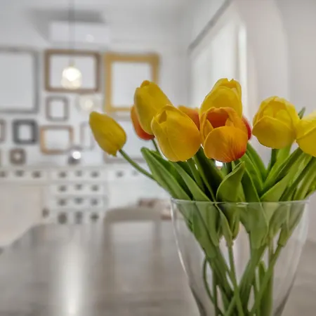 Apartamento Homies Córdova